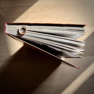 Punt de Llibre de plata i coure
